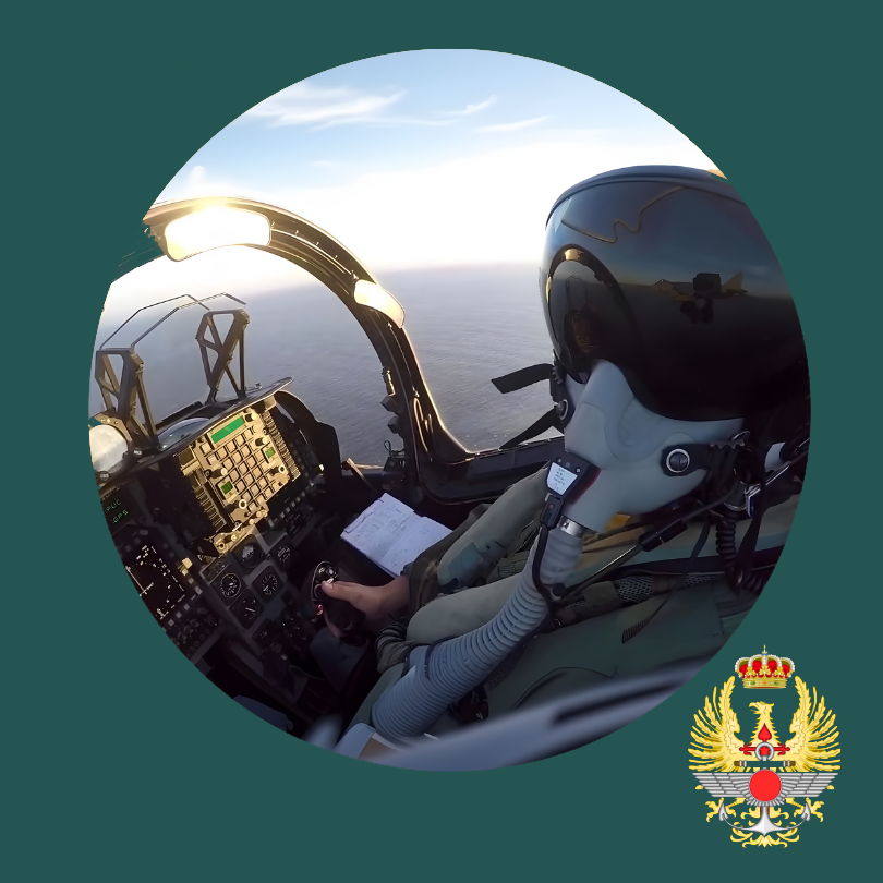 Piloto